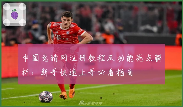 中国竞猜网注册教程及功能亮点解析,新手快速上手必看指南