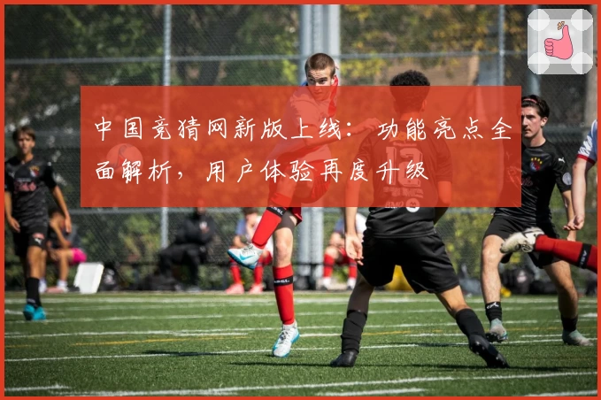 中国竞猜网新版上线：功能亮点全面解析，用户体验再度升级