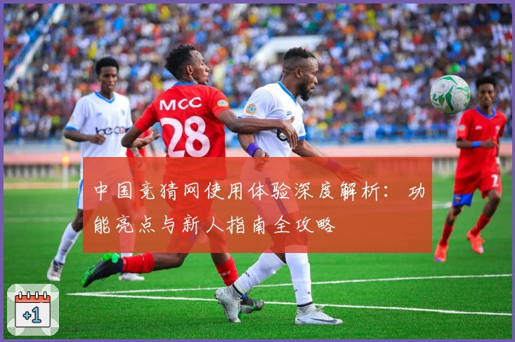 中国竞猜网使用体验深度解析：功能亮点与新人指南全攻略