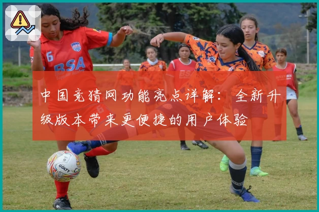 中国竞猜网功能亮点详解：全新升级版本带来更便捷的用户体验