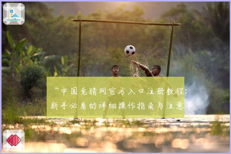 “中国竞猜网官方入口注册教程：新手必看的详细操作指南与注意事项”