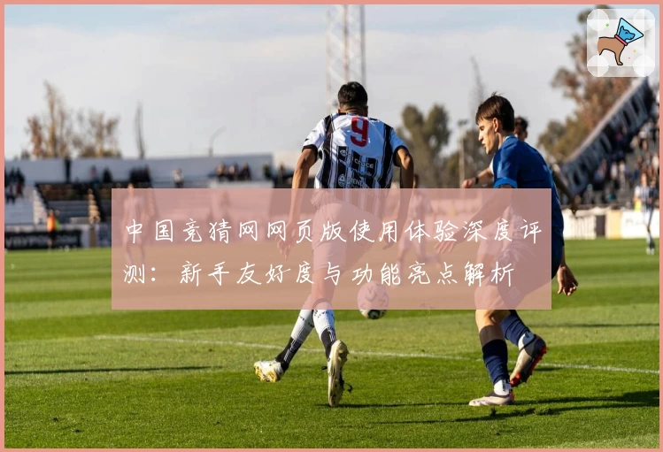 中国竞猜网网页版使用体验深度评测:新手友好度与功能亮点解析