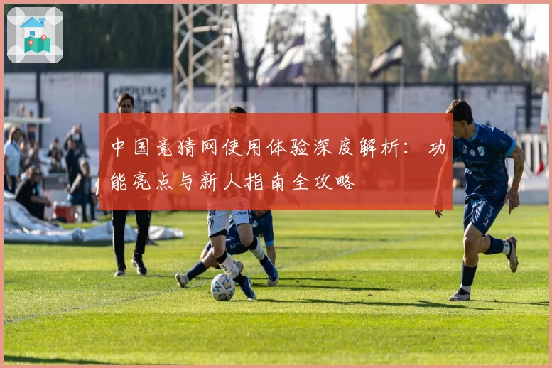 中国竞猜网使用体验深度解析:功能亮点与新人指南全攻略